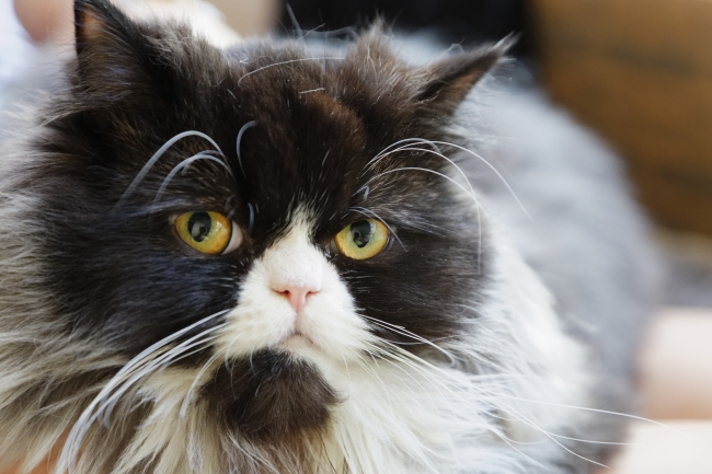 Famille et amis-NOV14-031